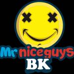 mr nice guys