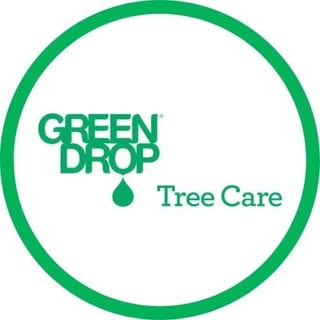 Green Drop Trees