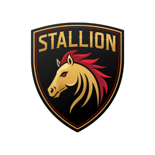 Stallion Auto Lab
