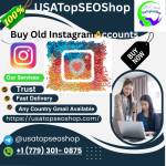 Top Platforms to Instagram Accounts Safely In