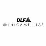 dlfcamellias
